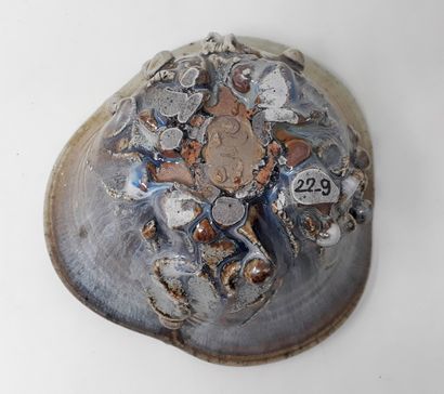  JACQUINOT Jean 
Stoneware bowl with brown glaze, n°229 under heel 
Diameter: 16;...
