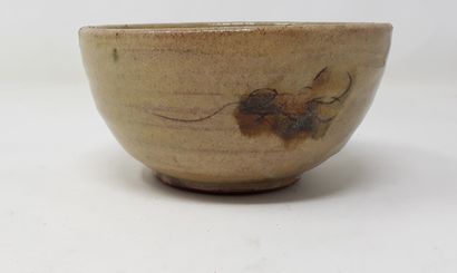  BALAŸ Pascale 
Stoneware bowl with vegetal decoration, signed in hollow and n°239...