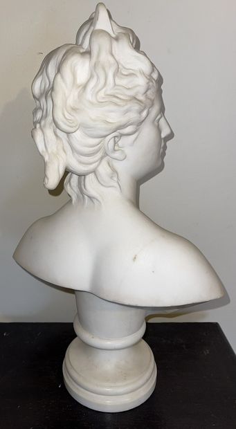 null After Jean-Antoine HOUDON (1741-1828) 

"Bust of Diana

Marble sculpture 

H.:...