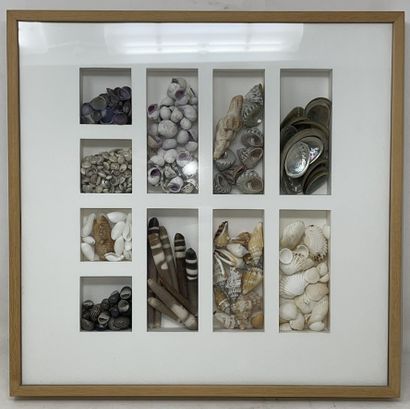 null GREEN - Contemporary school

"Composition under a window with shells, seeds...