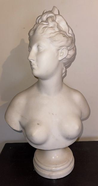 null D'après Jean-Antoine HOUDON (1741-1828) 

"Buste de Diane"

Sculpture en marbre...