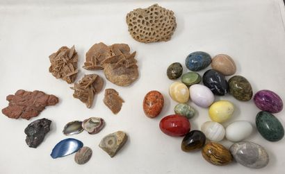 null Lot de minéraux et divers, roses des ables, éponge, sciages fossilisés, etc…

On...