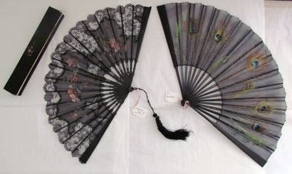 null Lot of two fans

- One in black gauze painted with flowering branches around...