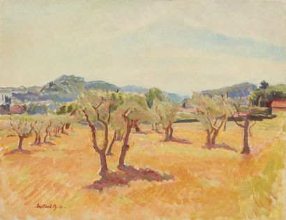 bertrand py Bertrand PY (1895-1973) 

Olive trees in Provence

Oil on canvas, signed...