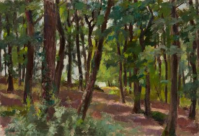 Georges PACOUIL Georges PACOUIL (1903-1996) 

Undergrowth

Oil on canvas, signed...