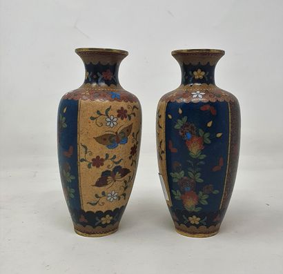 null Pair of cloisonné enamel vases with butterflies and flowers

Japan, around 1900

H.:...