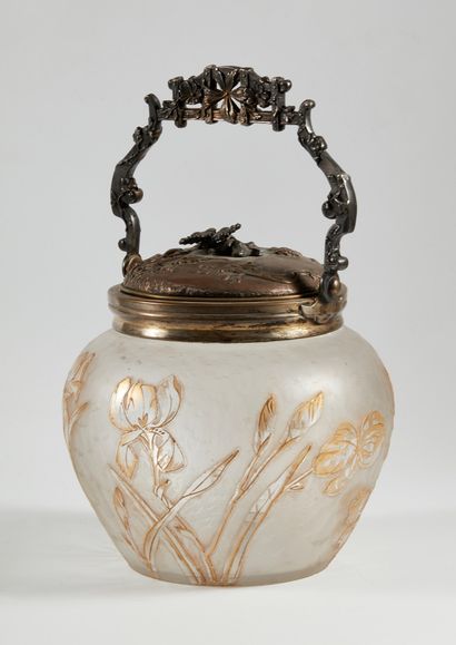 null Victor SAGLIER (1809-1894) - Glass cookie bucket with iris and thistle decoration,...