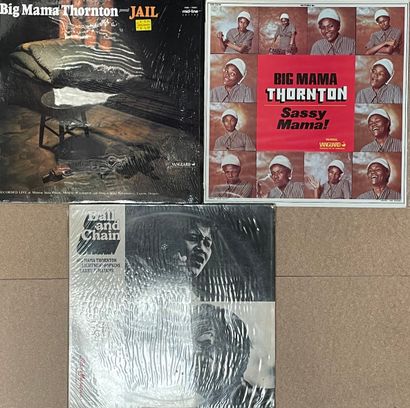null Trois disques 33T - Big Mama Thornton

VG+ à NM; VG+ à NM