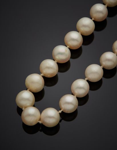 null NECKLACE composed of a row of white cultured pearls. Clasp "ogive" in yellow...
