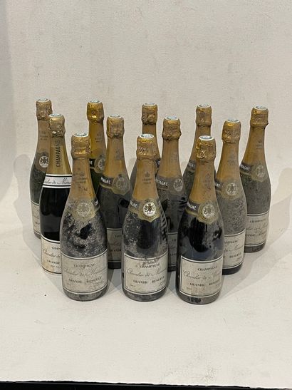 CHAMPAGNE Twelve (12) bottles - Champagne brut Grande reserve, Chevalier de Monc...