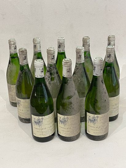 BOURGOGNE Twelve (12) bottles - Saint-Veran, 1992, dom. Roche Saint Verand (dirty...