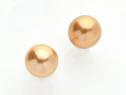 null Paire de CLOUS d'OREILLES en or jaune (750‰) ornée d'une perle de culture Gold...