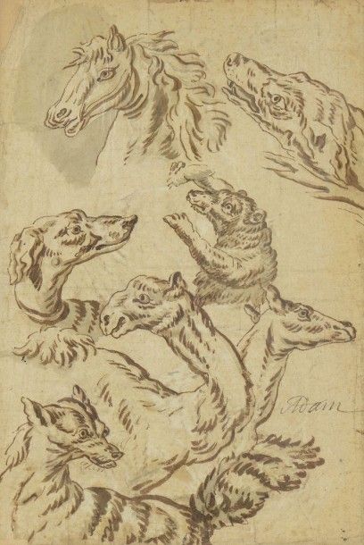ADAM Benno (1812-1892) "Têtes d’animaux" 

Plume et sepia, signée au milieu à droite...