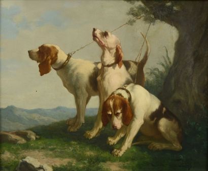 null Victor PALIX (XIXe s) "Trois chiens de chasse au repos" Huile sur toile. Signée...