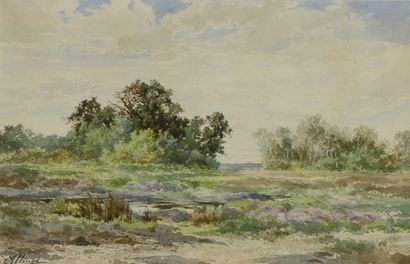 ALLONGE Auguste (1833-1898)  « bord d'étang"

Aquarelle, signée en bas à gauche

30,5...