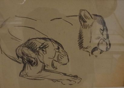 null Georges Lucien GUYOT (1885-1973) 

"Etude de lionne" 

Mine de plomb 

13 x...