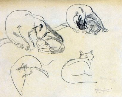 null Georges Lucien GUYOT (1885-1973) 

"Etudes de chat" 

Fusain, cachet de l'atelier...