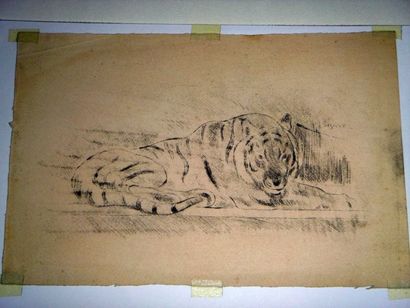null Ecole moderne "Tigre au repos" Gravure en noir, 16 x 25 cm