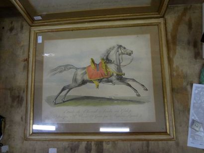 null d'après Horace VERNET "Etude de chevaux au galop", deux reproductions , 44 x...