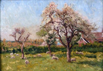 POZIER Jacinthe (1844-1915) "Moutons sous les arbres en fleurs"

Huile sur toile,...
