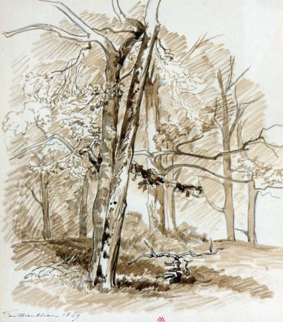 ANASTASI Auguste Paul Charles (1820-1889) "Arbres en bordure de forêt"

Lavis d'encre...
