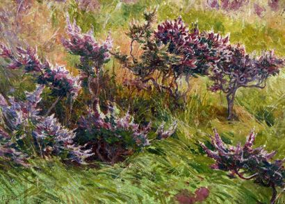 PAIL Edouard (1851-1916) "Le champ fleuri" 

Huile sur carton, signée en bas à gauche,...