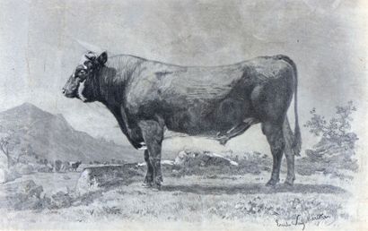 Van MARCKE DE LUMMEN Emile (1827-1890) "Portrait d'un taureau"

Mine de plomb, signé...