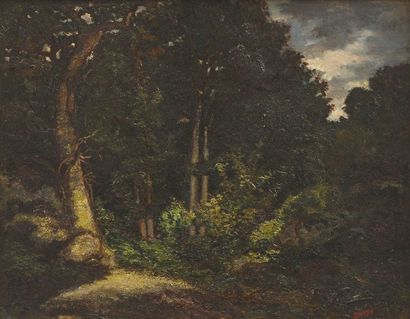 BARYE Antoine-Louis (1795-1875) "Forêt de Fontainebleau, la vallée Blanche"

Huile...