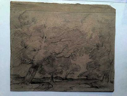 ROUSSEAU Théodore (1812-1867) "Les grands arbres"

Mine de plomb, cachet des initiales...