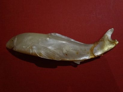 Poisson en nacre sculpté, L.: 19 cm (accident...