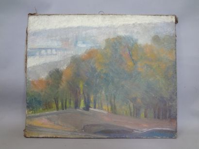 null Georges CAPRON "Paysage d'arbres et le vieux pont" Huile sur toile. 50 x 61...