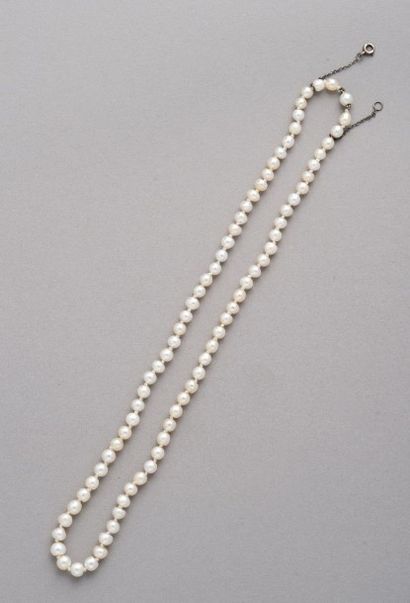 null COLLIER composé d’un rang de perles fines de couleur blanc crème. Fermoir perle.

Le...