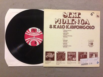 null 1 disque 33T du label Sonafric : 33 T Seke Molenga - african roots reggae SONAFRIC(EX/EX)

Set...