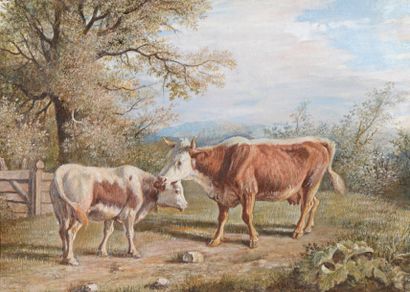 BONHEUR Auguste (1824-1884) 

"Vache et son veau" 

Aquarelle, signée en bas à gauche,...