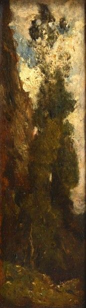 DUTILLEUX Constant (1807-1865) 

"Portrait d'arbre" 

Huile sur panneau, monogrammée...