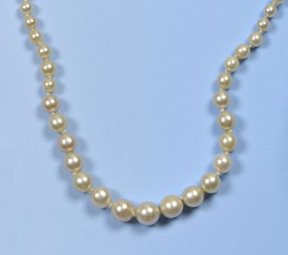 null Collier de perles fines disposées en chute de dimension allant de 2 mm à 6,4...