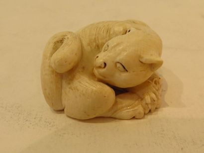 null Netsuke en ivoire "Chat et souris", Japon, vers 1900

6 x 4 cm