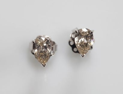 null PAIRE de CLOUS D’OREILLES en or gris (750 millièmes) serti de deux diamants...