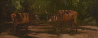 BONHEUR Rosa (1822-1899) BONHEUR Rosa (1822-1899) 

"Cerfs dans la forêt"

Huile...