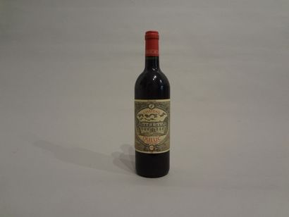  10 Bouteilles - Château Duluc, 1998, 2d vin de Branaire Ducru, Saint Julien