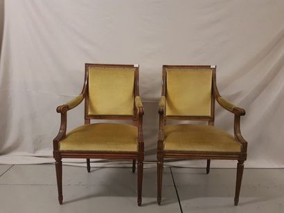 null Paire de fauteuils Style Louis XVI en bois naturel, recouverts de velours j...