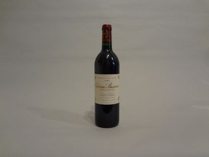 null 8 Bouteilles - Château Branaire Ducru, 1994, 4e GCC de Saint Julien