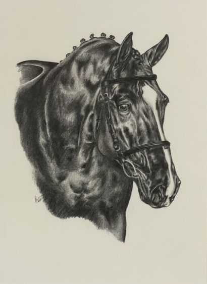 null COLLET Astrid (XXe siècle)

"Tête de cheval" 

Dessin au crayon noir sur papier,...