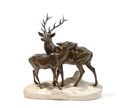 null DUBUCAND Alfred (1828- 1894) 

"Couple de cerfs" 

Edition en bronze à patine...