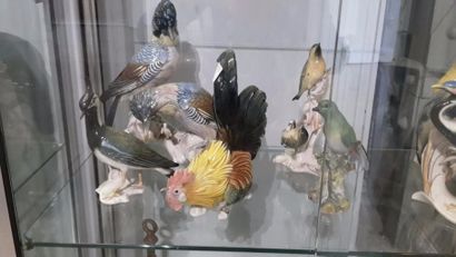 null SEPT SUJETS en porcelaine "Oiseaux"

Allemagne, XXe siècle (accidents, rest...