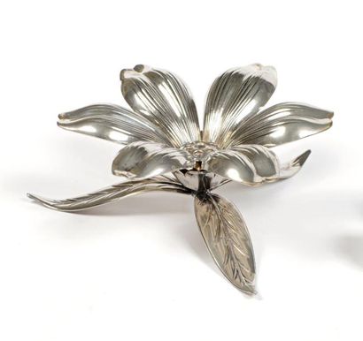 null CENDRIER Lotus pique-fleurs en laiton argenté, circa 1960

Fabrication Renzo...