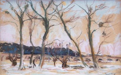 Paul MAZE (1887-1979) Paysage de neige

Pastel, signé en bas à droite

16 x 25 c...