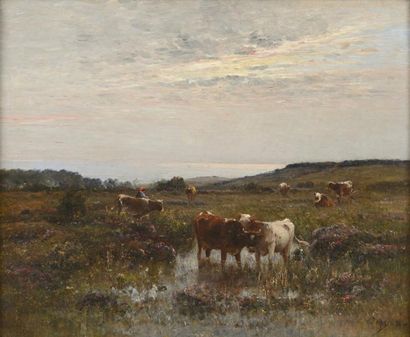 JAPY Louis Aimé (1840-1916) "Troupeau dans les bruyères" 

Huile sur toile, signée...