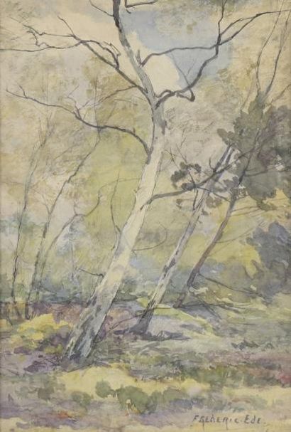 EDE Frédéric (1865-1913) "Les bouleaux", "Les bruyères", "Grands arbres près des...