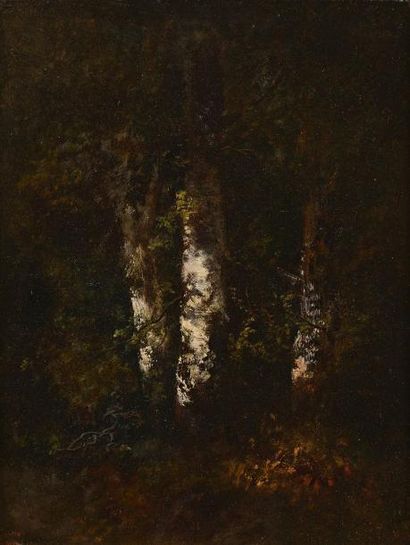 DIAZ de la PENA Narcisse Virgile (1807-1876) "Les Chênes" 

Huile sur panneau, cachet...